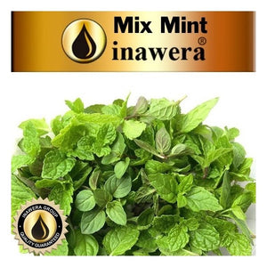 INW - MINT MIX CONCENTRATE
