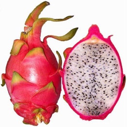 INW - DRAGON FRUIT CONCENTRATE