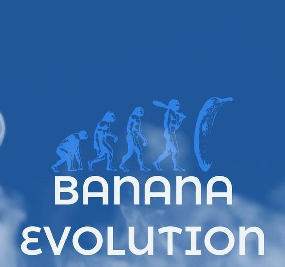 FOGGED - BANANA EVOLUTION