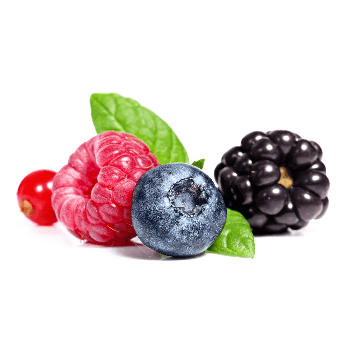FA FOREST FRUITS MIX FLAVOUR CONCENTRATE