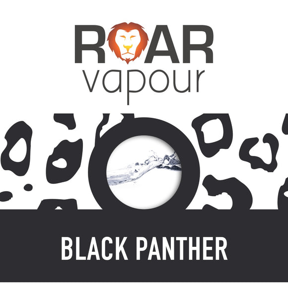 RV - BLACK PANTHER